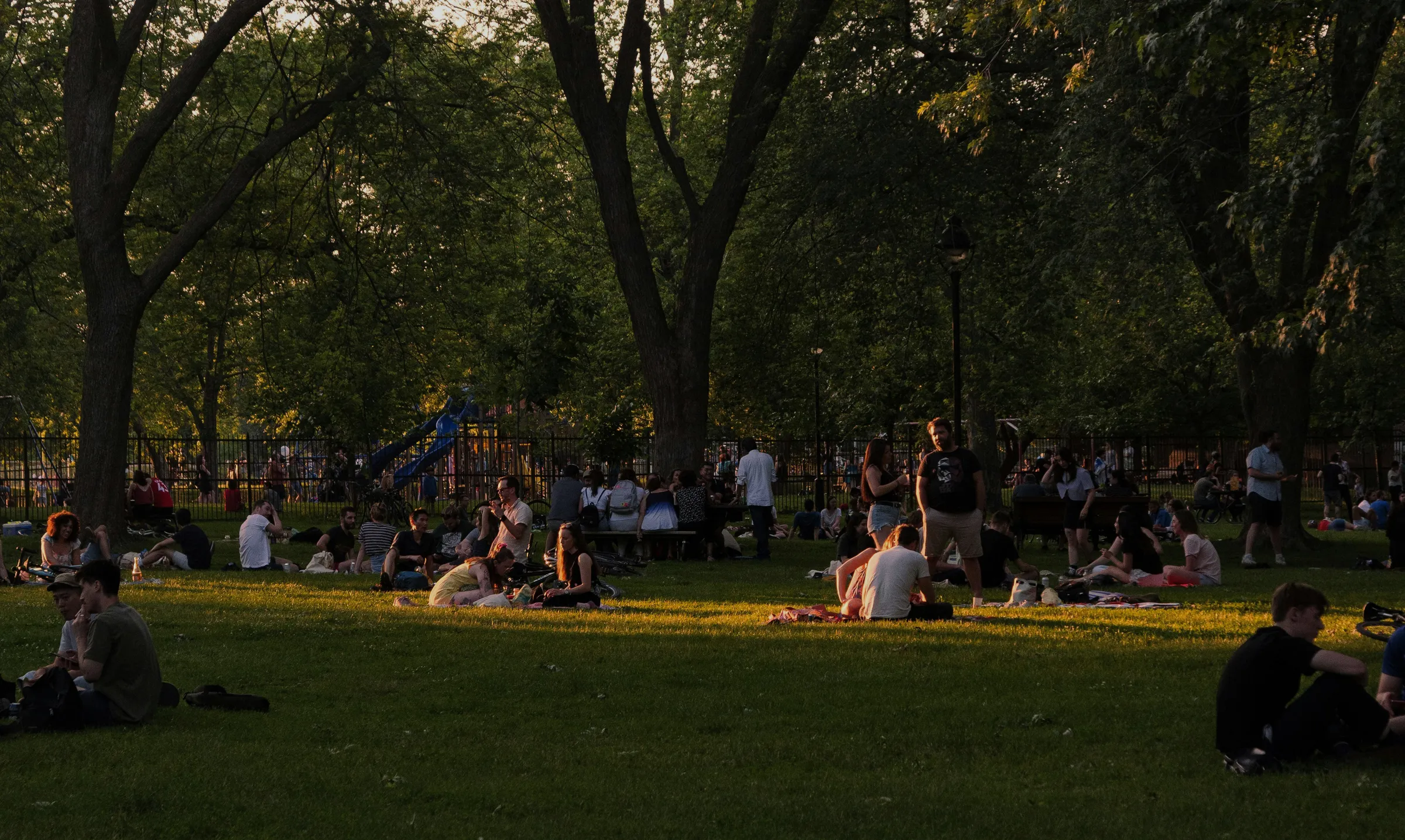 People gathered on the grass in a park at golden hour.